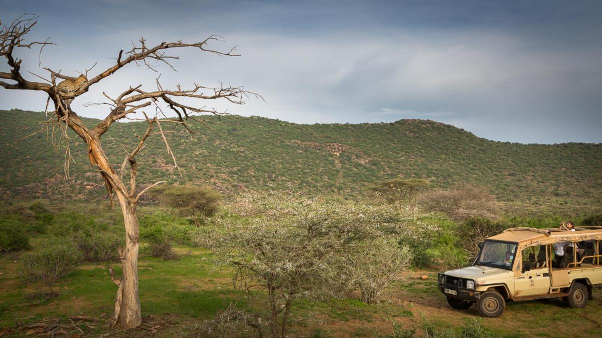 Elephant Bedroom Camp - Samburu Archers Post Exterior foto