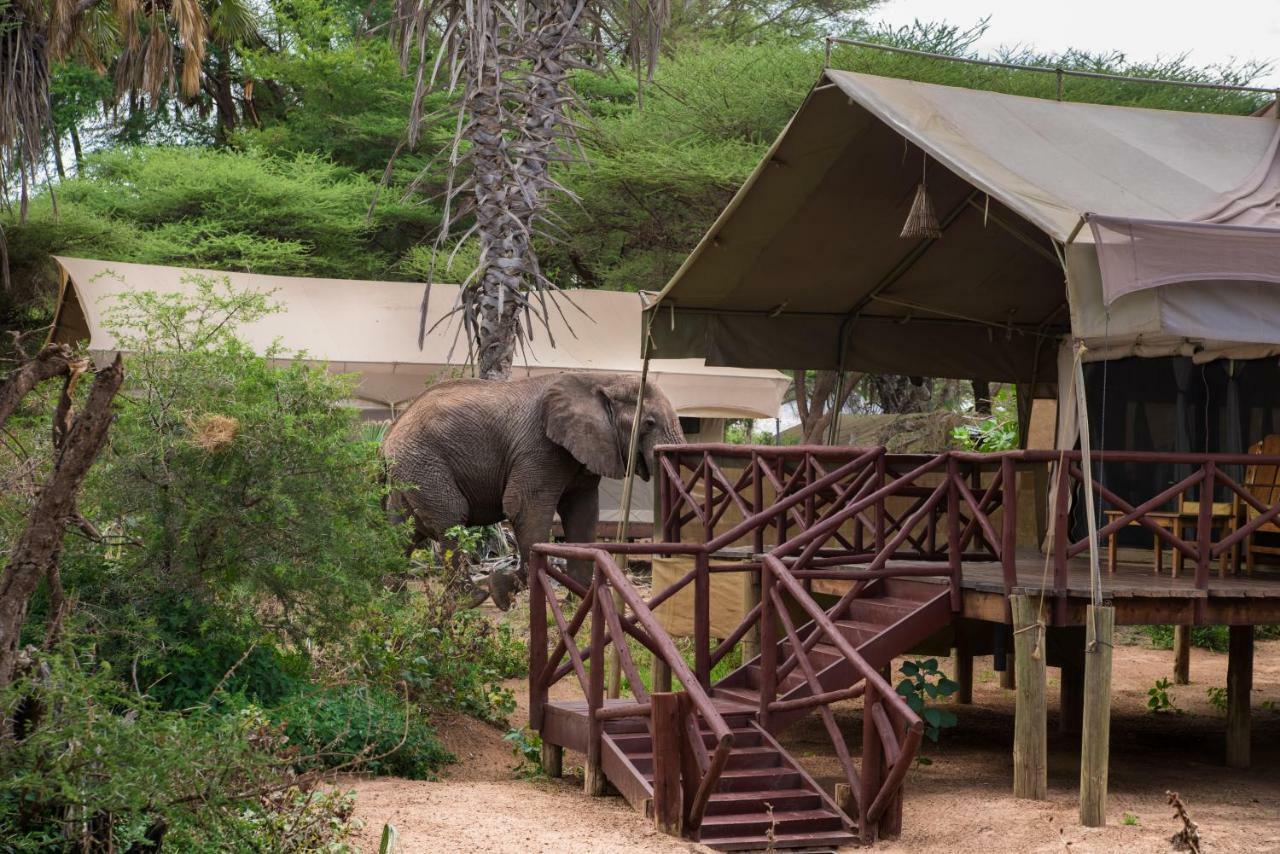 Elephant Bedroom Camp - Samburu Archers Post Exterior foto